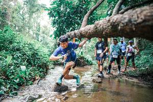 BIB: 
                            <button type="button" onclick="openModal(25374378)" class="btn btn-primary btn-sm float-right btn-popup" data-toggle="modal" data-target=".modal-high-quality">
                        <i class="fas fa-shopping-cart"></i> Add to Cart
                    </button>
                                            <button type="button" onclick="isThisMe(25374378, true)" class="btn btn-success btn-sm float-right btn-popup btn-isme hidden" data-toggle="tooltip" data-placement="bottom" title="นี่คือรูปของคุณใช่ไหม คลิกที่นี่เพื่อเอาเข้าอัลบั้ม">
                        <i class="fas fa-plus"></i> Add to album
                    </button>
                    <button type="button" onclick="isThisMe(25374378, false)" class="btn btn-warning btn-sm float-right btn-popup btn-isnotme hidden">
                        <i class="fas fa-ban"></i> Remove from album
                    </button>